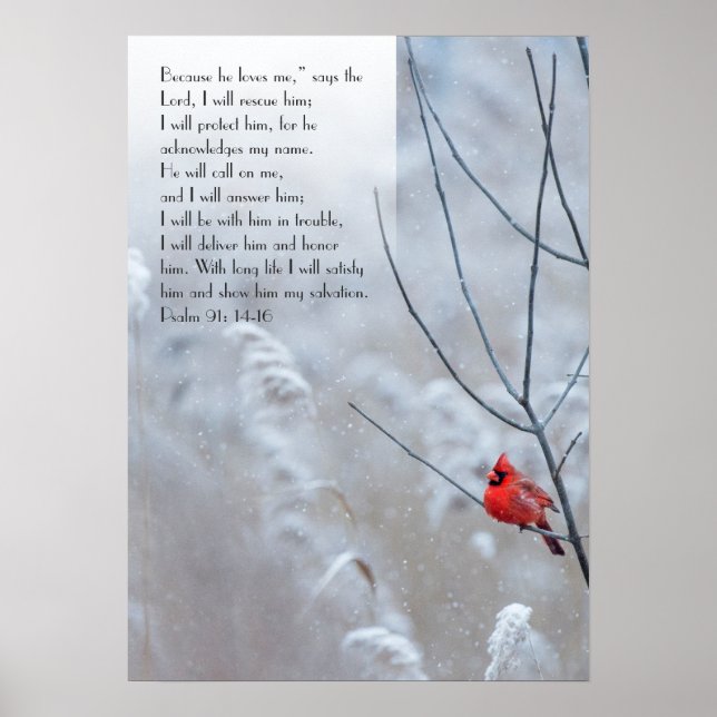 Psalm 91 Christian poster med en röd fågel (Framsidan)