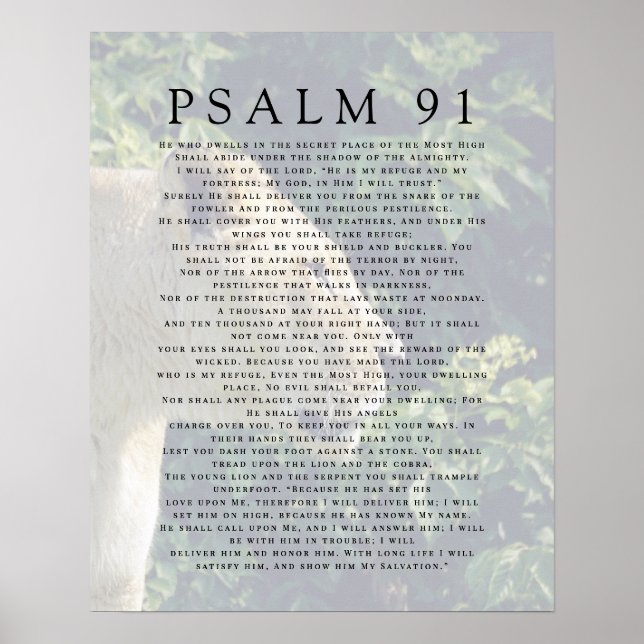 Psalm 91 Lejonhuvud Kristet Affisch (Framsidan)