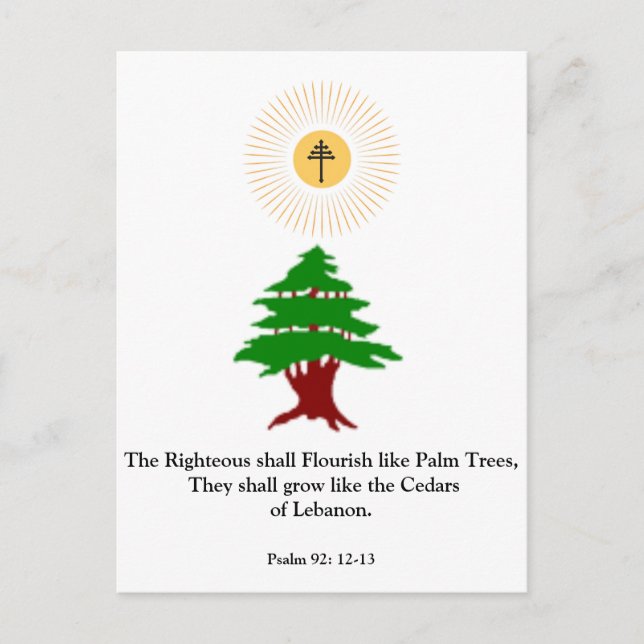 Psalm 92:12-13 Cedar of Libanon Maronite Post Card Vykort (Framsida)