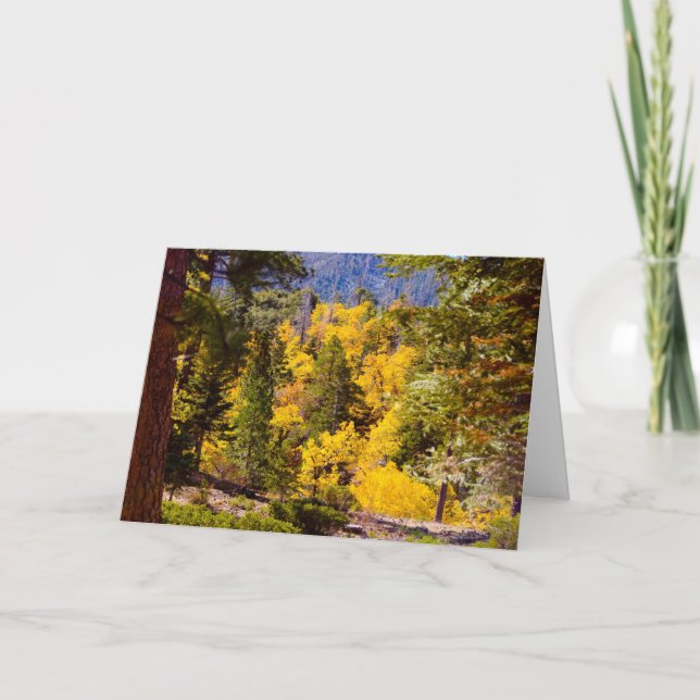 Psalm 95:2 kort (Framsida)