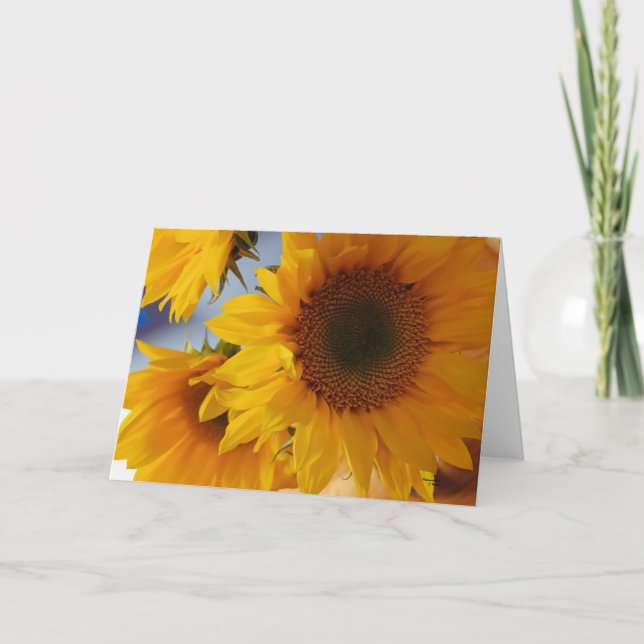 Psalm 96:1 Sunflowers Blank  Kort (Framsida)