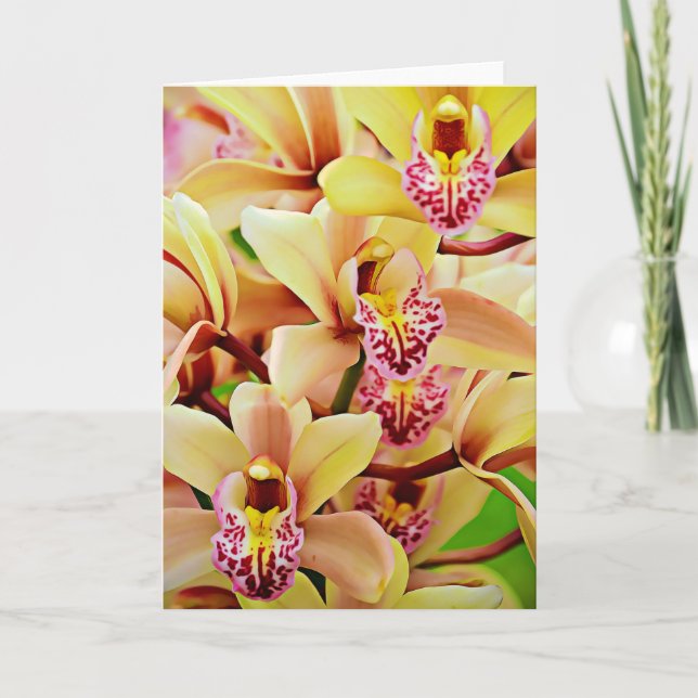 Psalm för Tropical Orchids Scripture Card 34:15 Kort (Framsida)