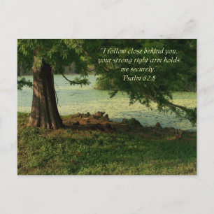 Psalm of Comfort Vykort