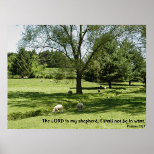 Psalms23:1 Poster