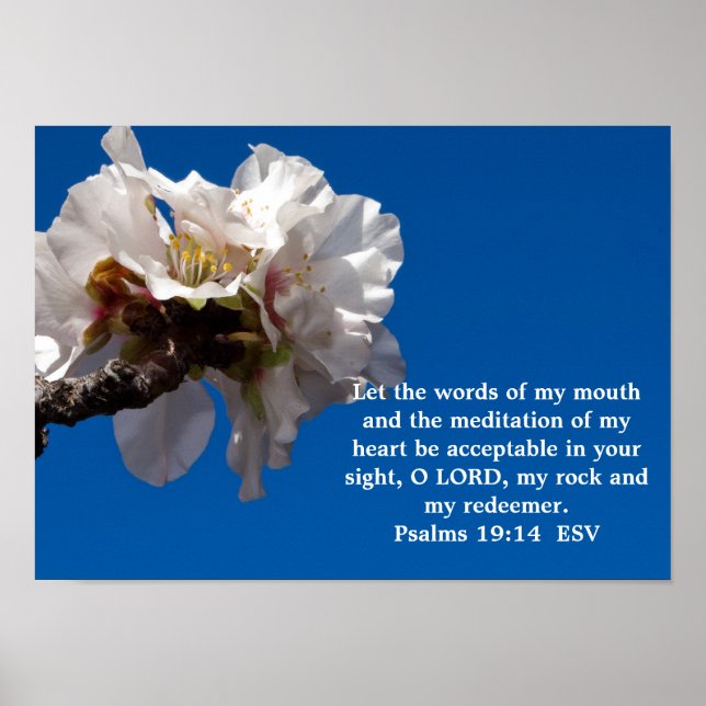 Psalms 19:14 poster (Framsidan)
