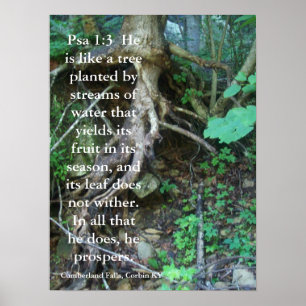Psalms 1:3 poster