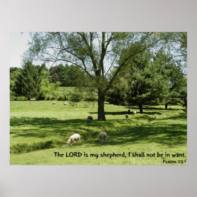 Psalms 23:1 poster (Framsidan)