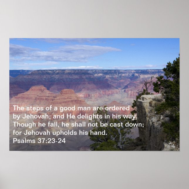 Psalms 37:23-24 Poster (Framsidan)