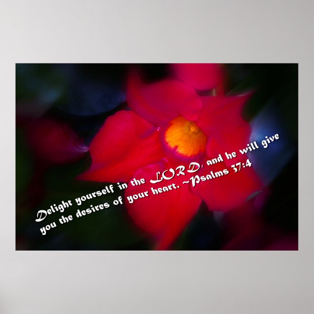 Psalms 37:4 poster (Framsidan)