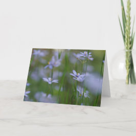 Psaltaren 115:15 med blå blommor gratulationskort kort