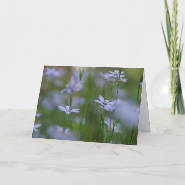 Psaltaren 115:15 med blå blommor gratulationskort kort (Framsida)