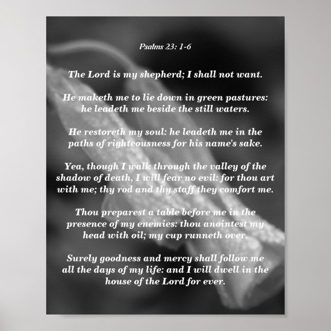 Psaltaren 23: 1-6 poster (Framsidan)