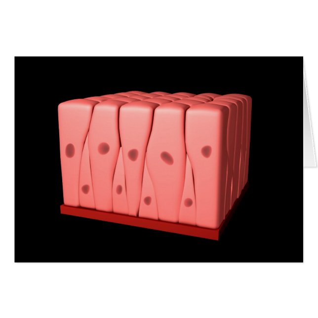 Pseudostratifierad colnansk Epithelium Hälsningskort (Framsidan Horizontal)