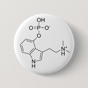 psilocybin knapp