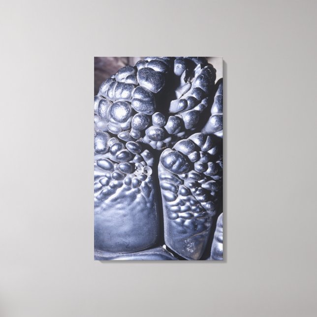 Psilomelane, en malm av Manganese, Michigan, USA Canvastryck (Framsida)