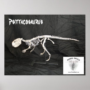 Psittacosaurus skelett poster