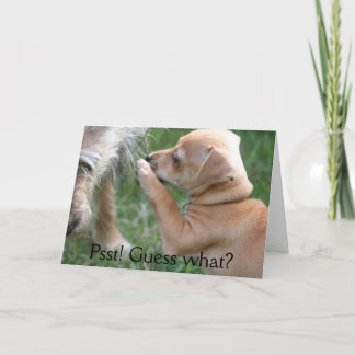 Psst! Gissning vad? Kort