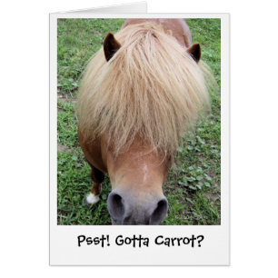 Psst! Har till moroten? OBS Kort