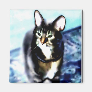 Psychadelic kattunge magnet