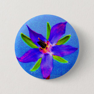 Psychedelic Borage Knapp