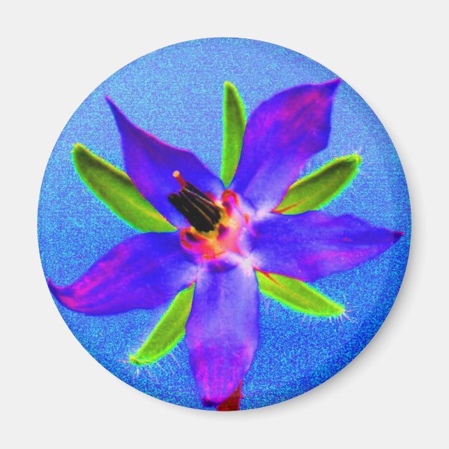 Psychedelic Borage Magnet (Framsidan)