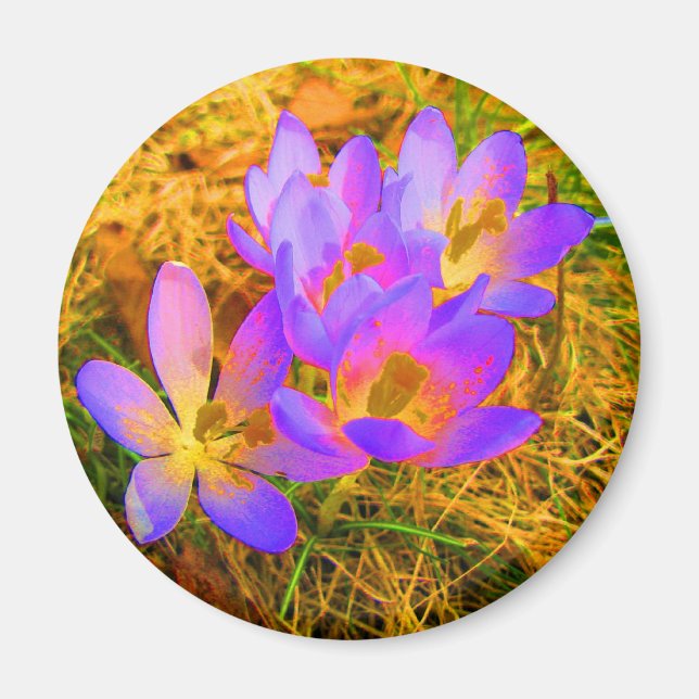Psychedelic Crocus Magnet (Framsidan)