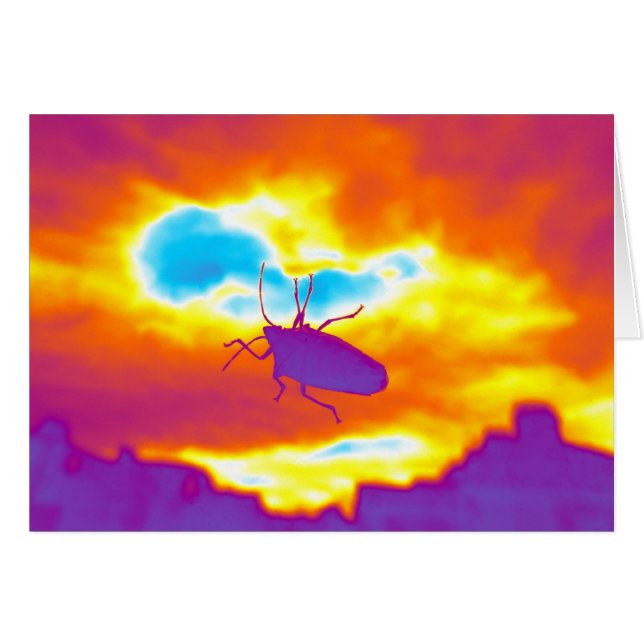 Psychedelic Kryp Hälsningskort (Framsidan Horizontal)