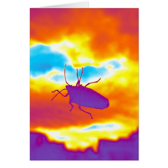 Psychedelic Kryp Hälsningskort (Framsidan)