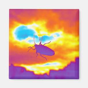 Psychedelic Kryp Magnet