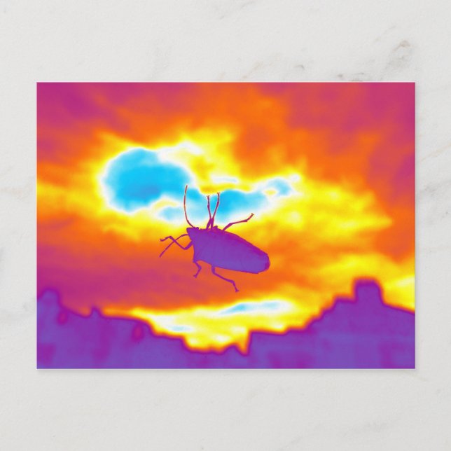 Psychedelic Kryp Vykort (Framsida)