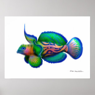 Psychedelic Mandarinfisk Poster