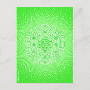 Psychedelic sakral geometrihjärtaChakra design Vykort