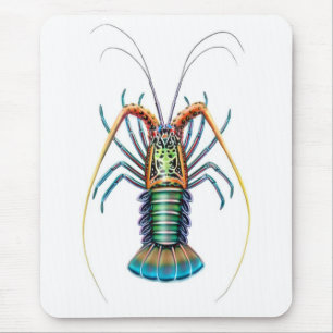 Psychedelic Spiny hummer Mousepad Musmatta