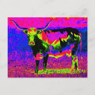 Psychedelic Texas Longhorn Cow Vykort