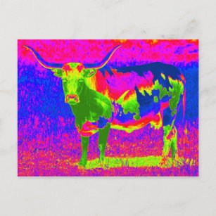 Psychedelic Texas Longhorn Cow Vykort