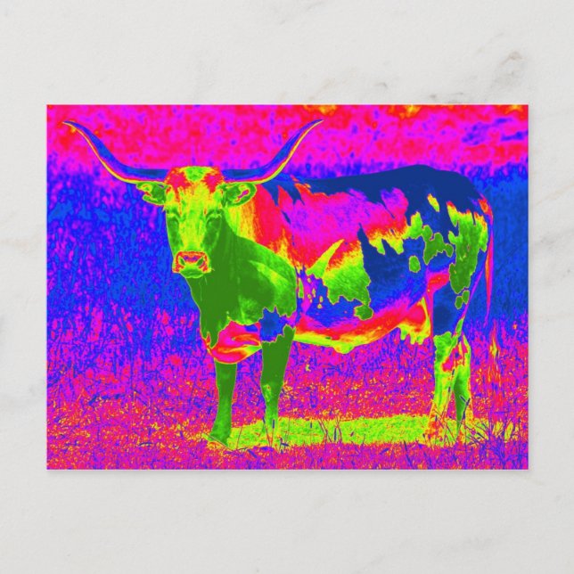Psychedelic Texas Longhorn Cow Vykort (Framsida)