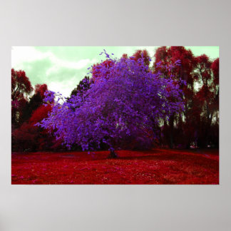 Psychedelic Träd Poster