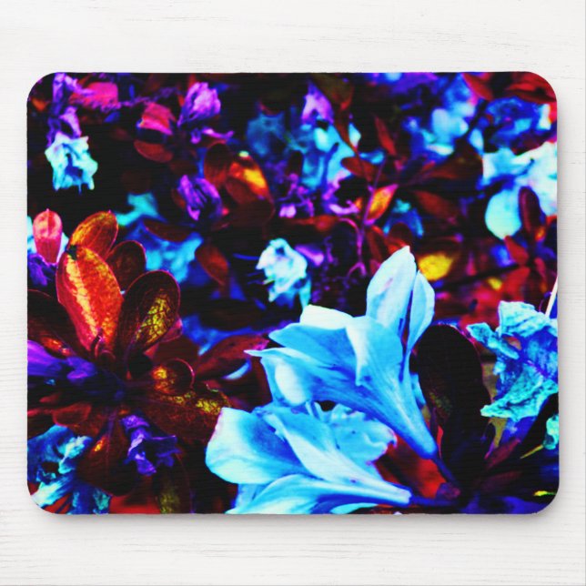 Psychedelic trädgårds- blommablåttlilor Fuschia Musmatta (Framsidan)