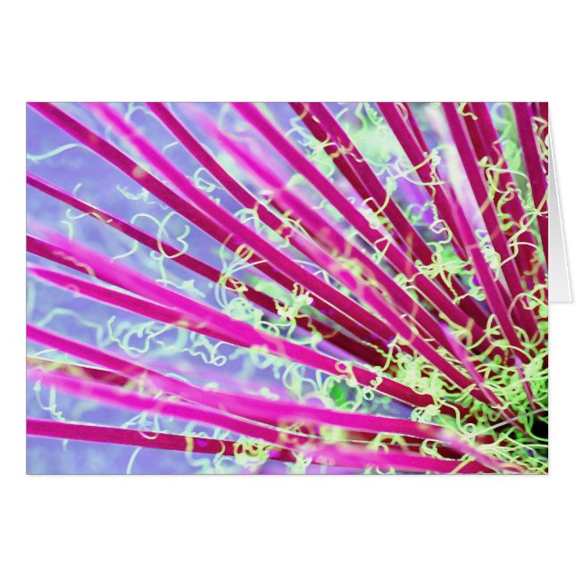 Psychedelic Yucca Abstrakt Red Hälsningskort (Framsidan Horizontal)