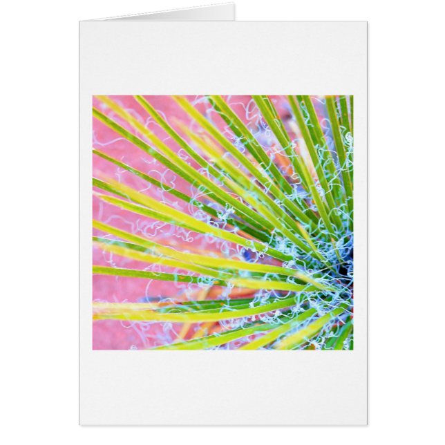Psychedelic Yucca Hälsningskort (Framsidan)