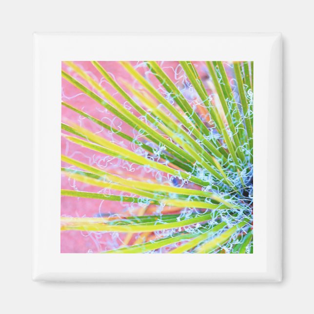 Psychedelic Yucca Magnet (Framsidan)