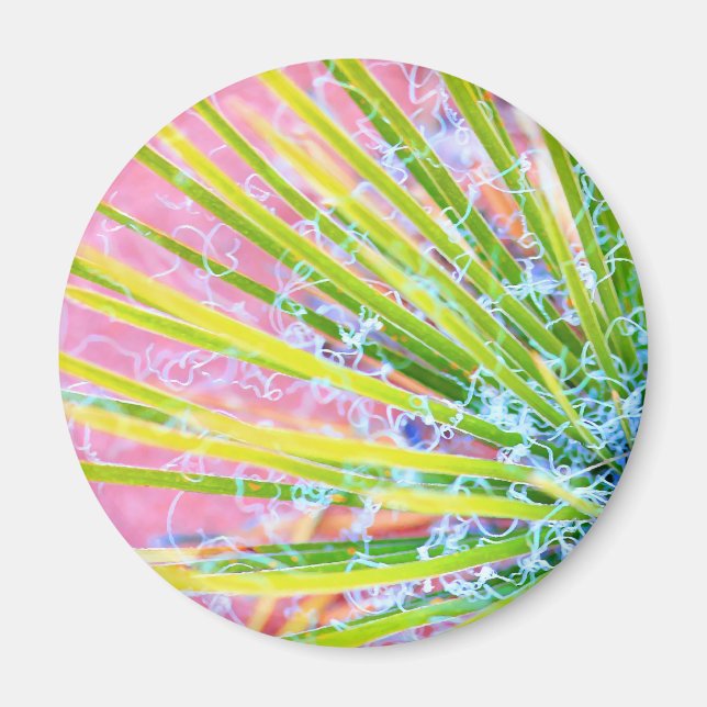 Psychedelic Yucca Magnet (Framsidan)