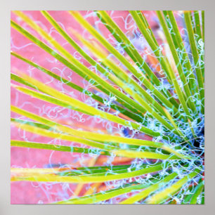 Psychedelic Yucca Poster