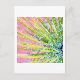 Psychedelic Yucca Vykort