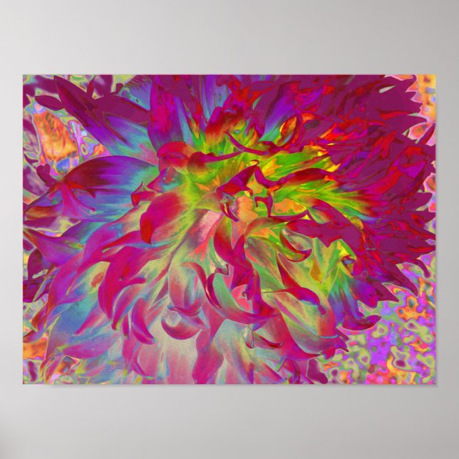 Psychedelisk Magenta och Gul Dahliablomma Poster (Framsidan)