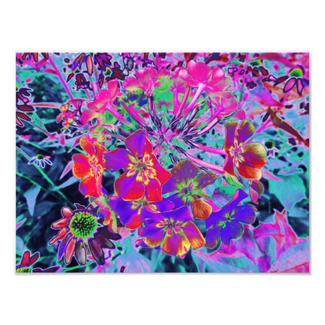 Psychedeliska färgrika röda och lila blommor fototryck (Framsidan)