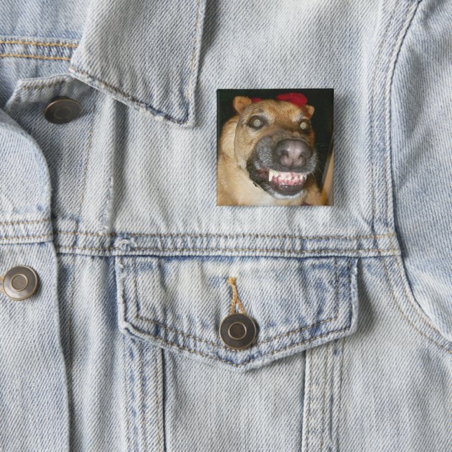 Psycho German Shepherd Hund Scary Evil Knapp (In Situ)