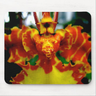 PsychopsisOrchid Mousepad Musmatta