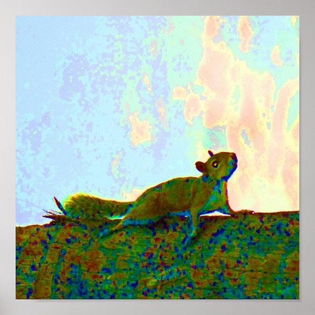 psykadeliskt foto av ekorrar poster (Framsidan)