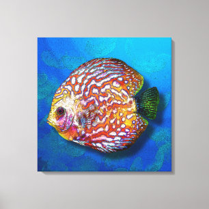 Psykedelisk färglös exotisk discus Fish Teckning Canvastryck
